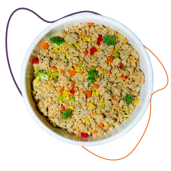 Chicken Recipe