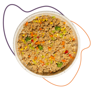 Turkey Recipe